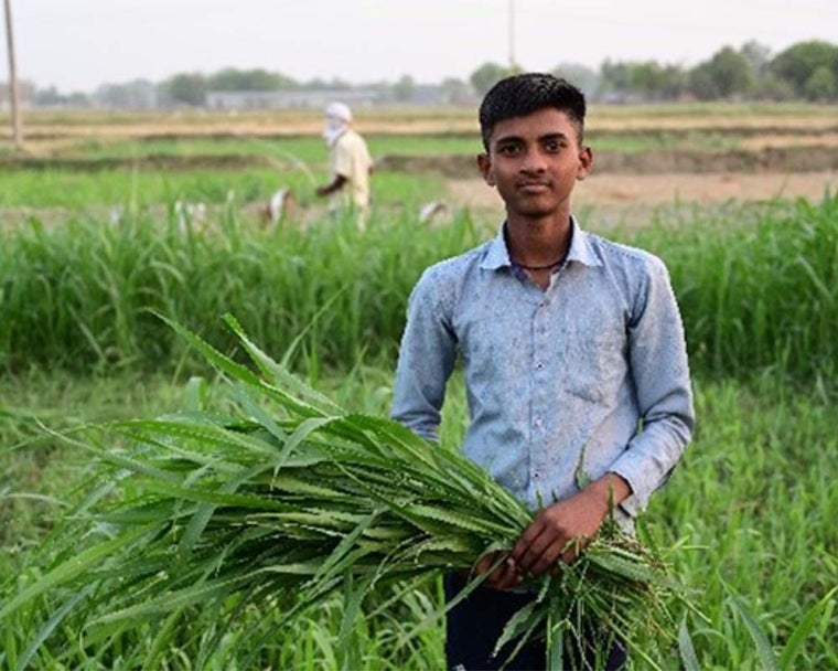 Monu holding grass after cleft surgery